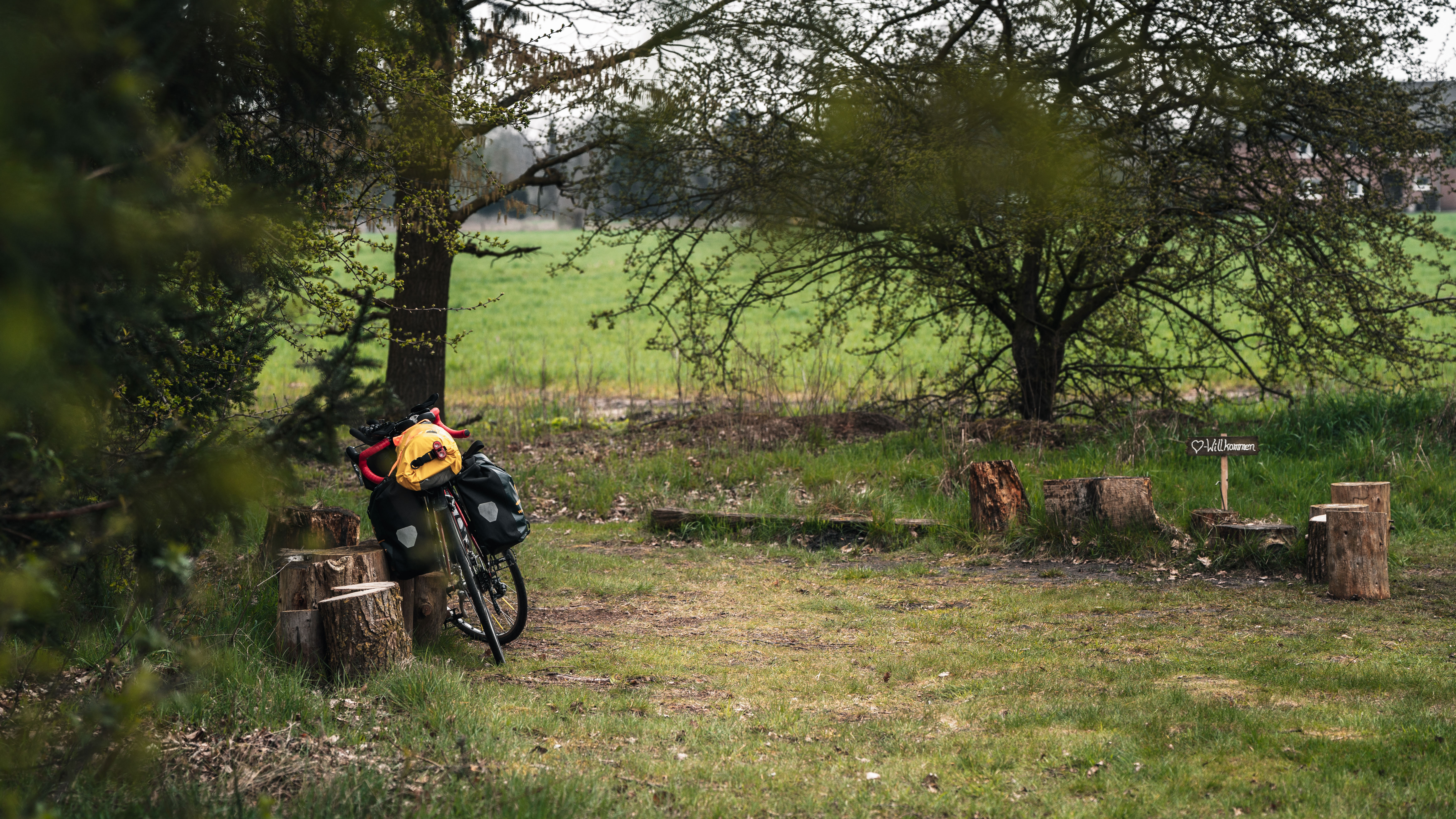 Peaceful tent camping in nature 3
